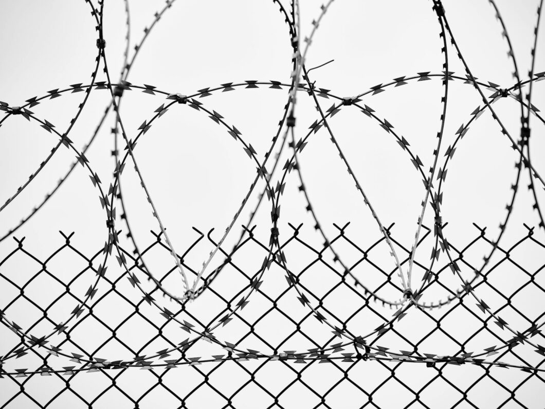grayscale photo of barbed wire