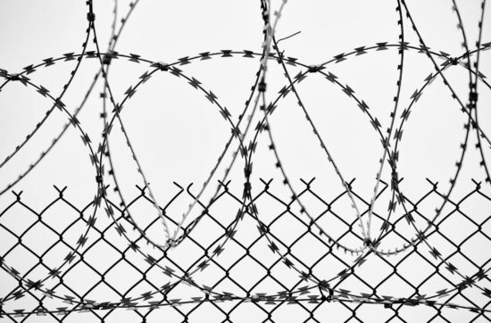 grayscale photo of barbed wire